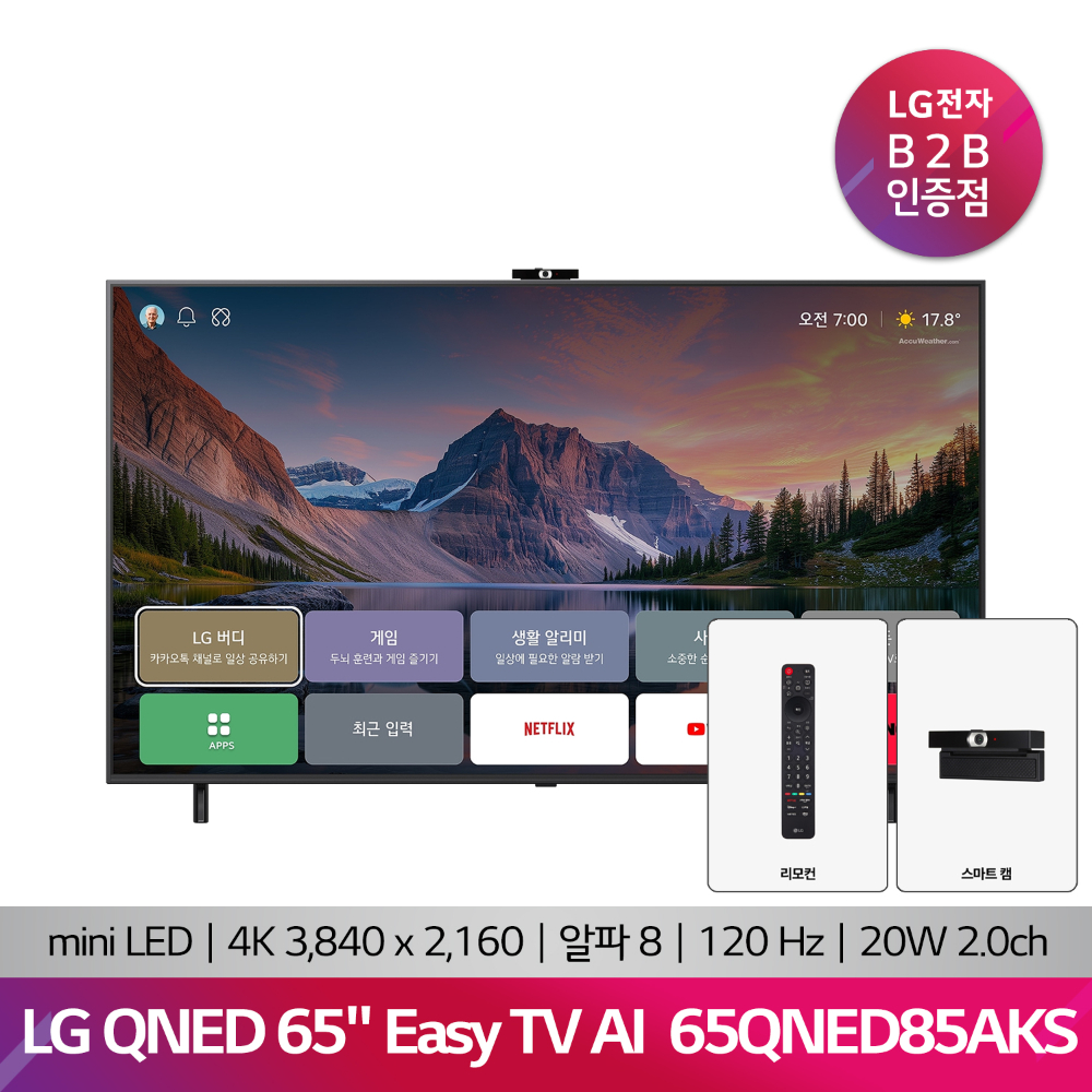 LG QNED Easy TV AI 65QNED85AKS(163cm/65/스마트캠)